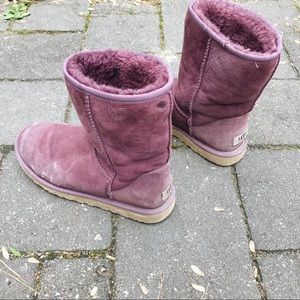 wine colored ugg boots